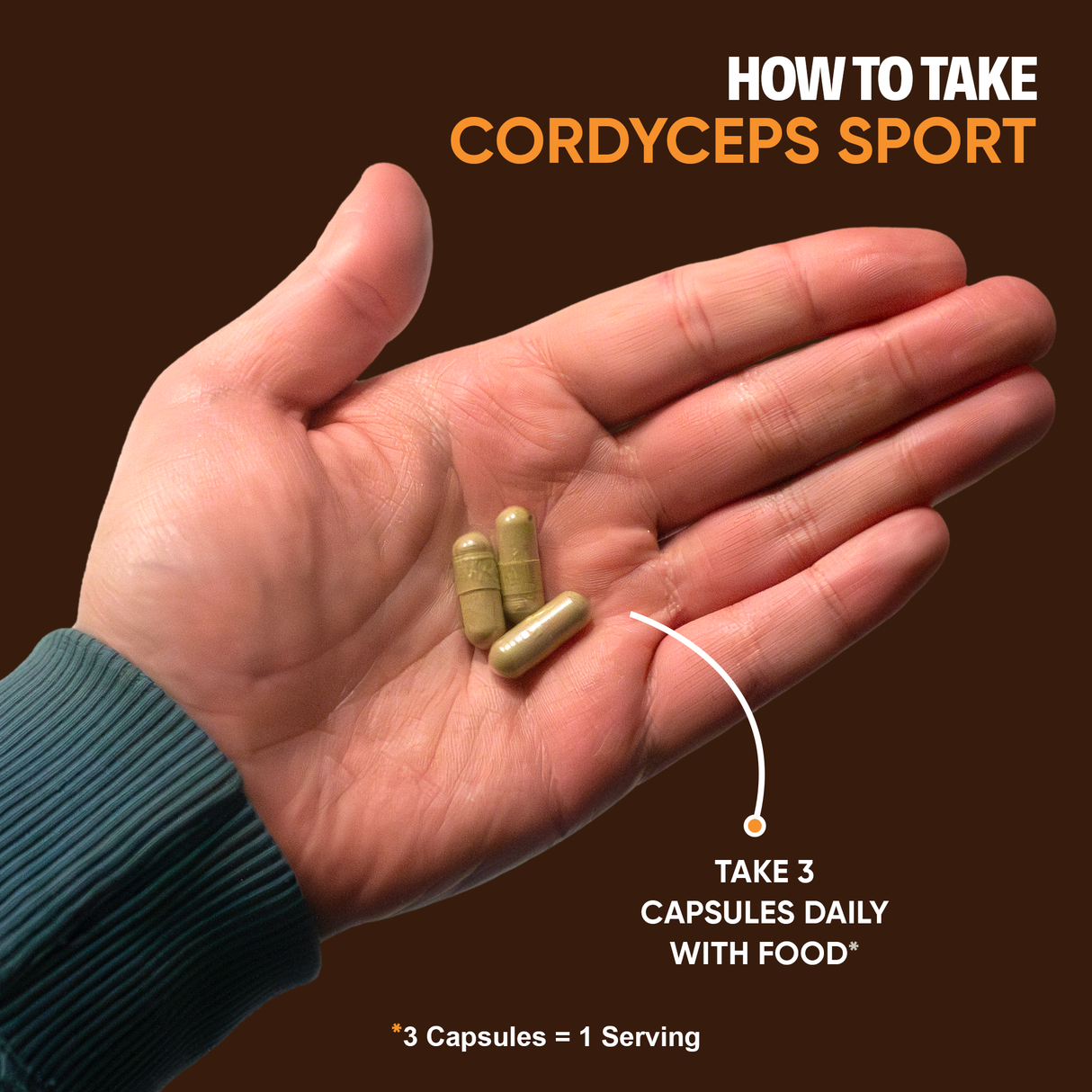 Cordyceps Capsules