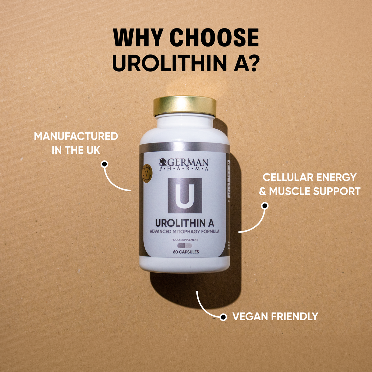 Urolithin A Supplement Benefits