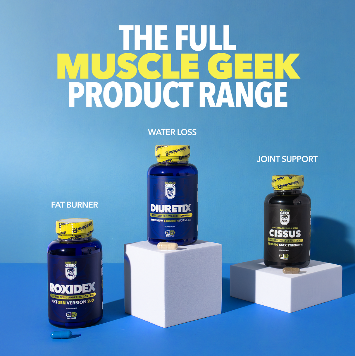 Muscle Supplements