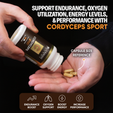 Cordyceps Benefits