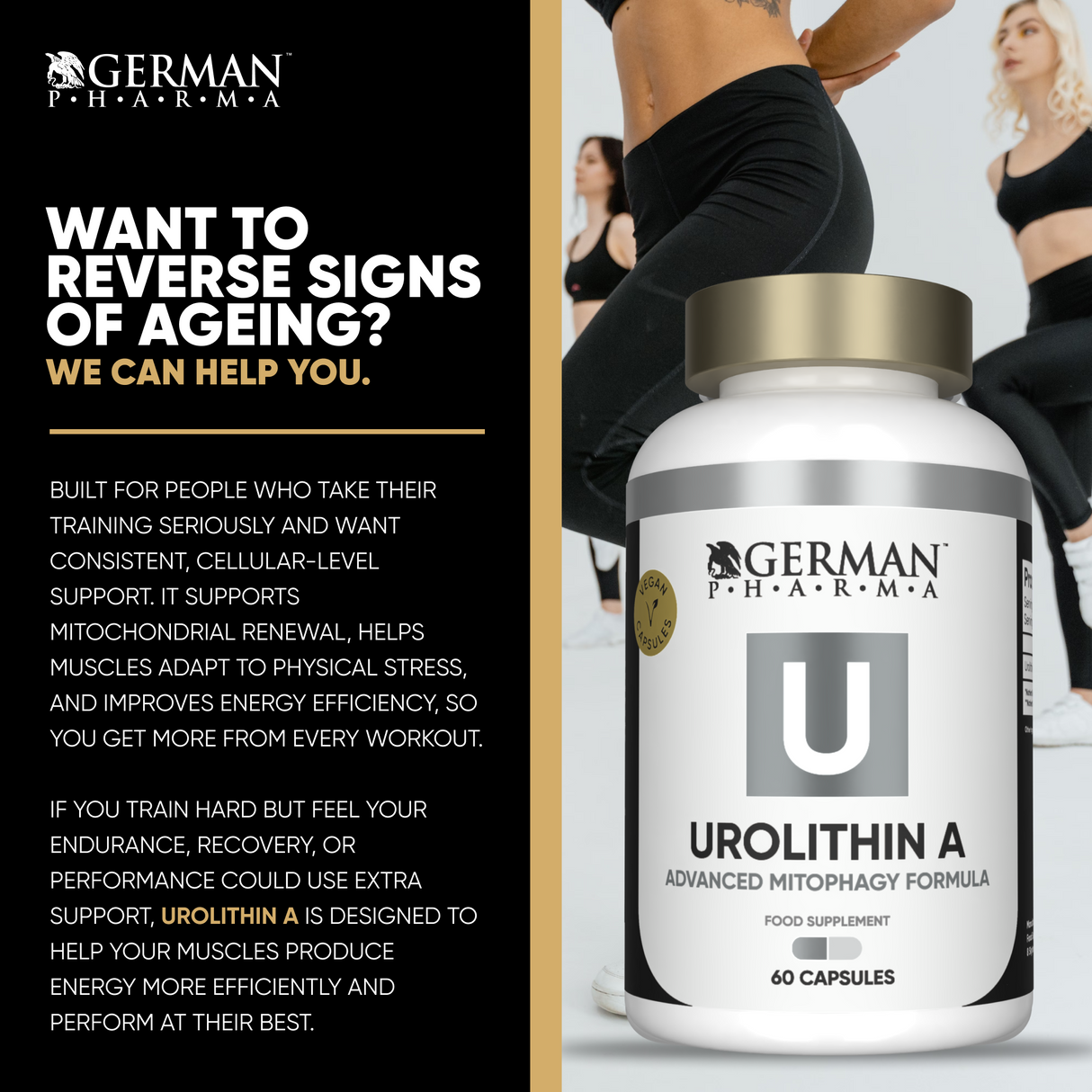 Urolithin A Supplement Benefits