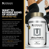 Urolithin A Supplement Benefits