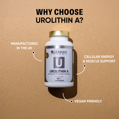 Urolithin A Supplement Benefits