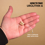 Urolithin A Effects